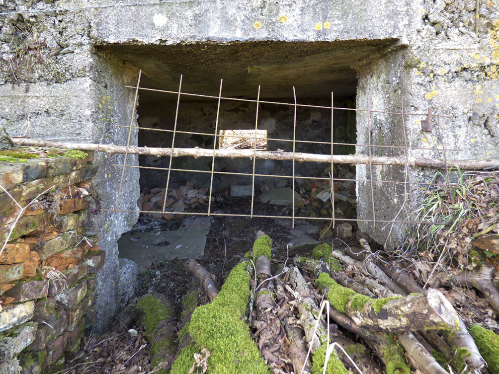 Ligne Maginot - BA103 - HIRAUMONT EST - (Blockhaus pour canon) - 