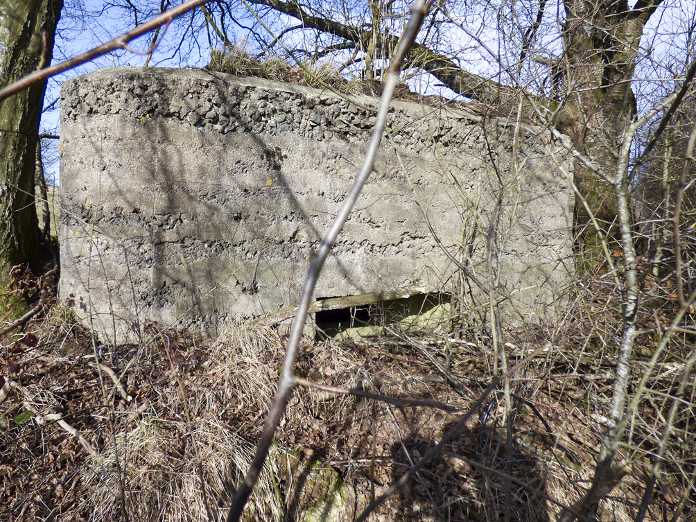 Ligne Maginot - BA103 - HIRAUMONT EST - (Blockhaus pour canon) - 