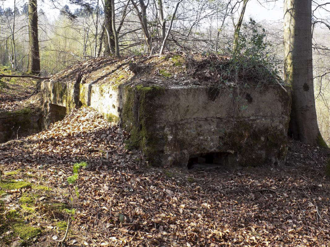 Ligne Maginot - BA105 - ROUTE DE REVIN 2 - (Blockhaus pour canon) - L'arrière et face droite créneau FM