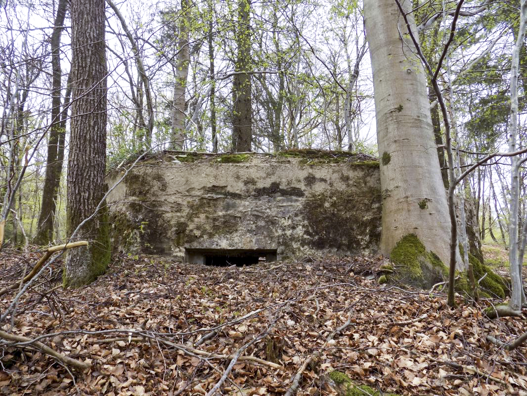 Ligne Maginot - BA105 - ROUTE DE REVIN 2 - (Blockhaus pour canon) - Face frontale droite, créneau Hotchkiss