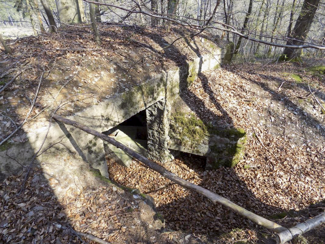 Ligne Maginot - BA105 - ROUTE DE REVIN 2 - (Blockhaus pour canon) - L'entrée