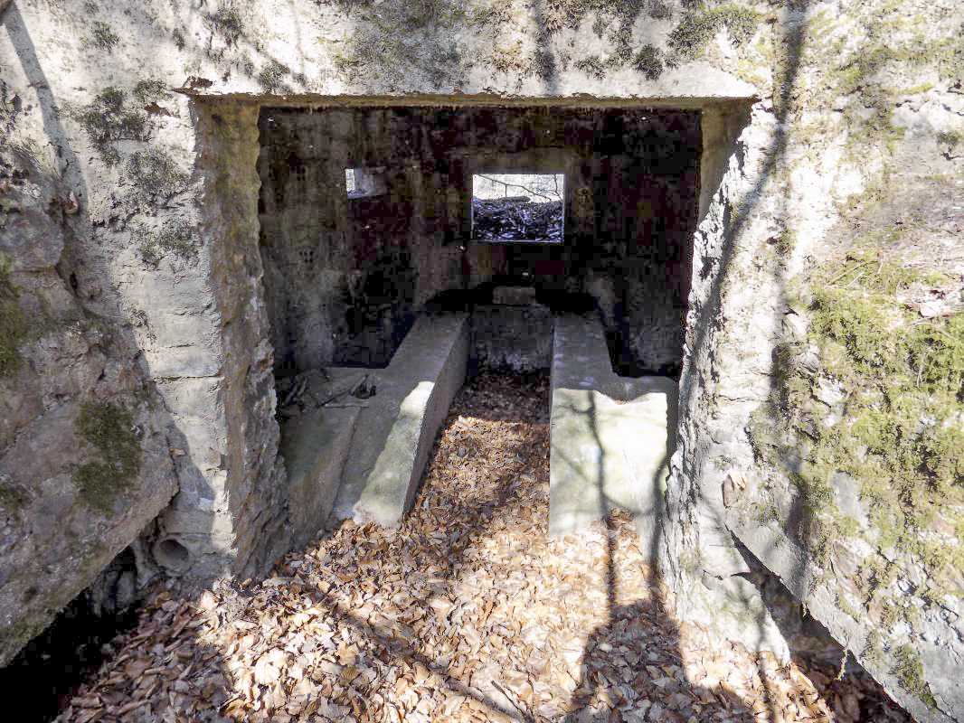 Ligne Maginot - BA105 - ROUTE DE REVIN 2 - (Blockhaus pour canon) - L'entrée