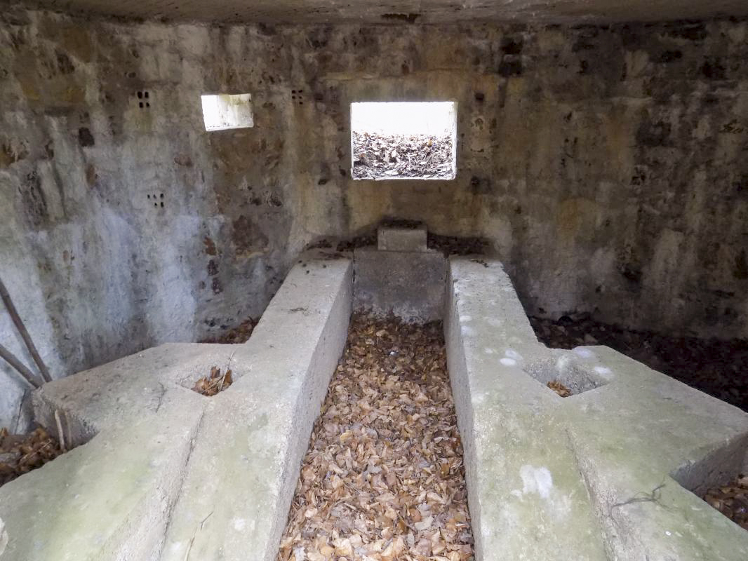 Ligne Maginot - BA105 - ROUTE DE REVIN 2 - (Blockhaus pour canon) - Créneaux FM et AC