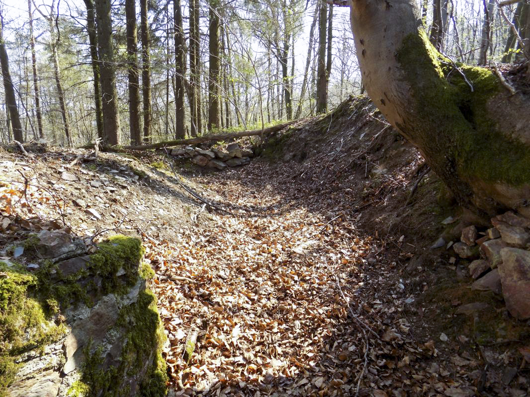 Ligne Maginot - BA105 - ROUTE DE REVIN 2 - (Blockhaus pour canon) - Vestiges des tranchées