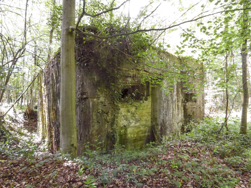 Ligne Maginot - ETANG DE PAS BAYARD - (Blockhaus pour canon) - 