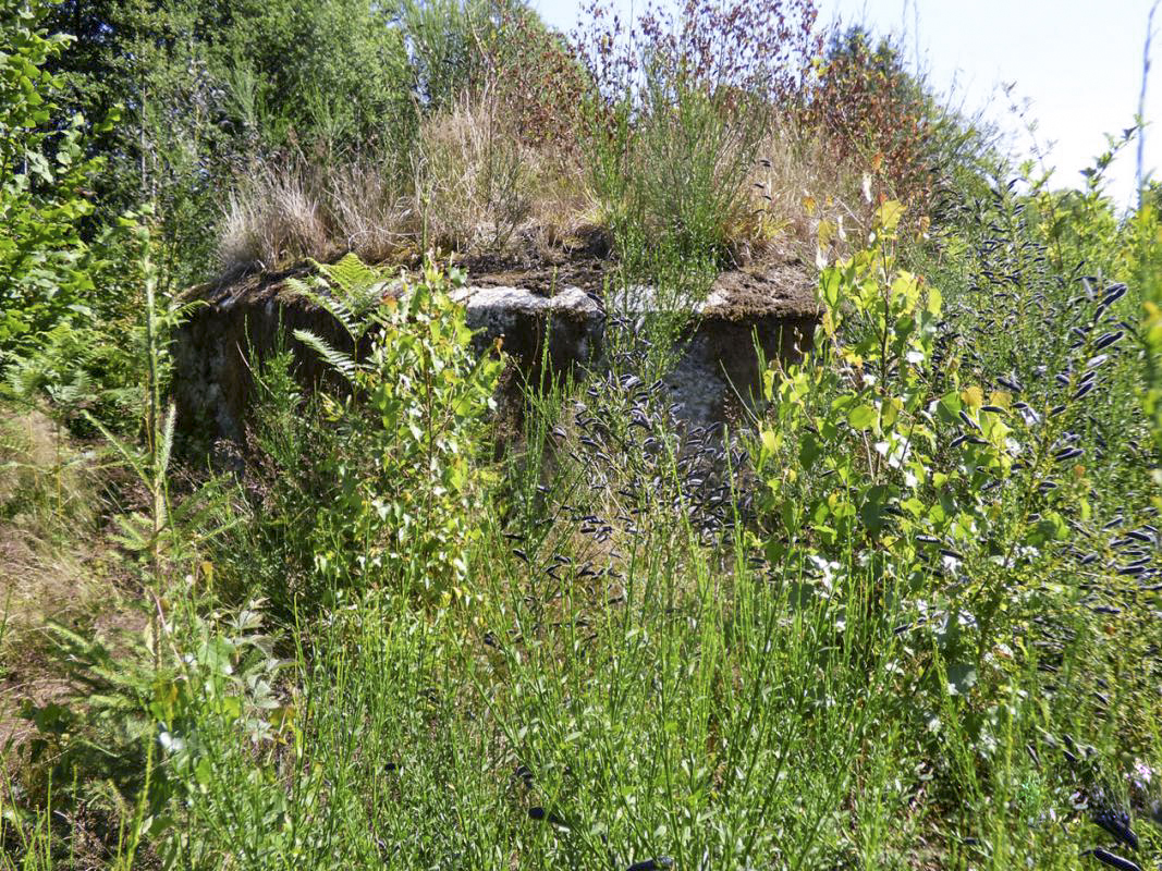 Ligne Maginot - CHAPELLE DES GLANDS - (Blockhaus pour arme infanterie) - 