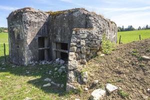 Ligne Maginot - B6 - LES RICHARD - (Blockhaus pour arme infanterie) - Les entrées