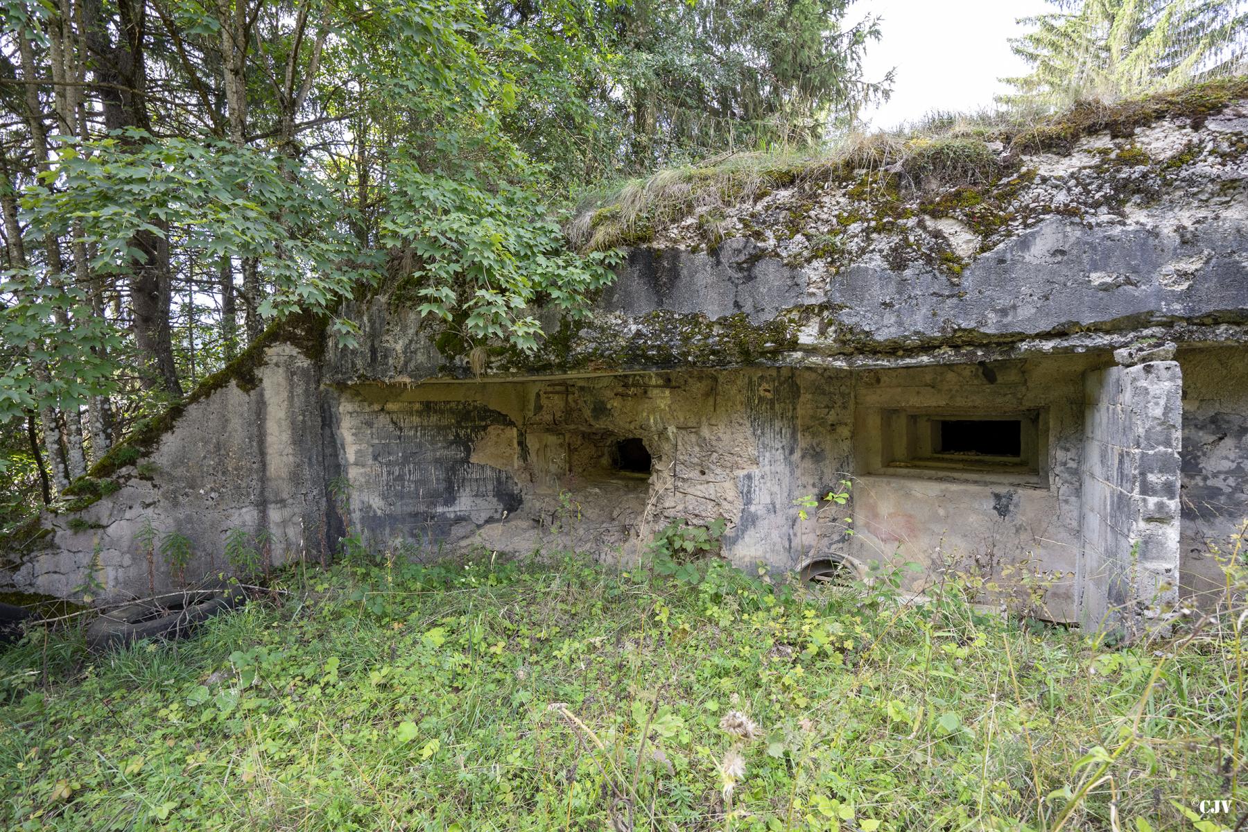 Ligne Maginot - B7 - MEIX-VANNOT - (Blockhaus pour canon) - Le blockhaus couvre la route venant du nord