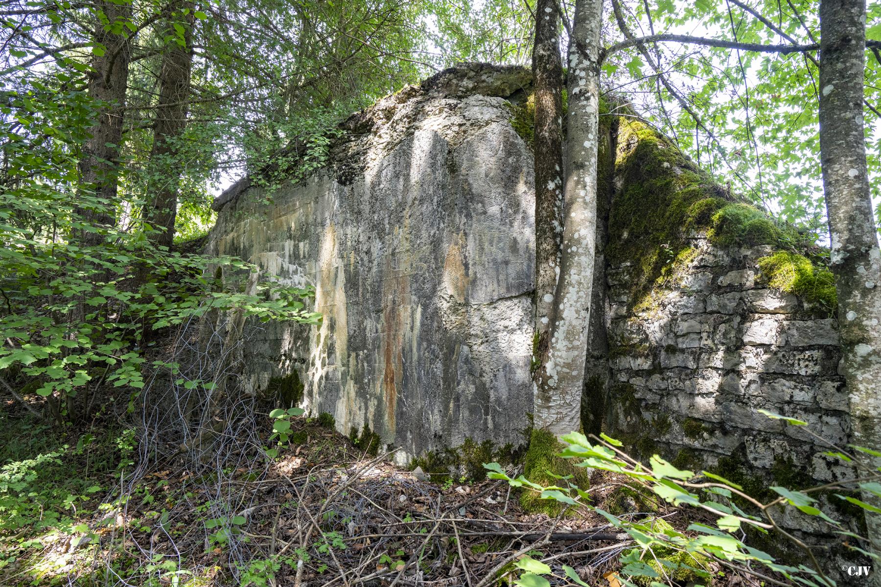 Ligne Maginot - B7 - MEIX-VANNOT - (Blockhaus pour canon) - L'entrée est remblayé