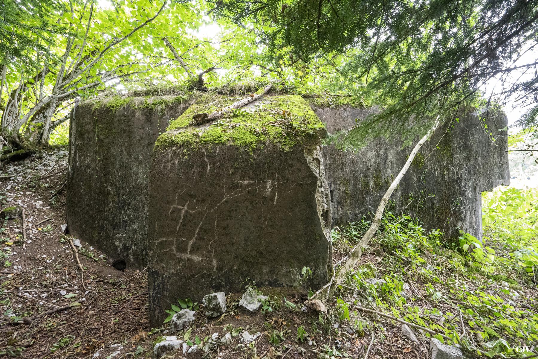 Ligne Maginot - B13 - CHEZ CARTIER - (Blockhaus pour arme infanterie) - Mur de protection