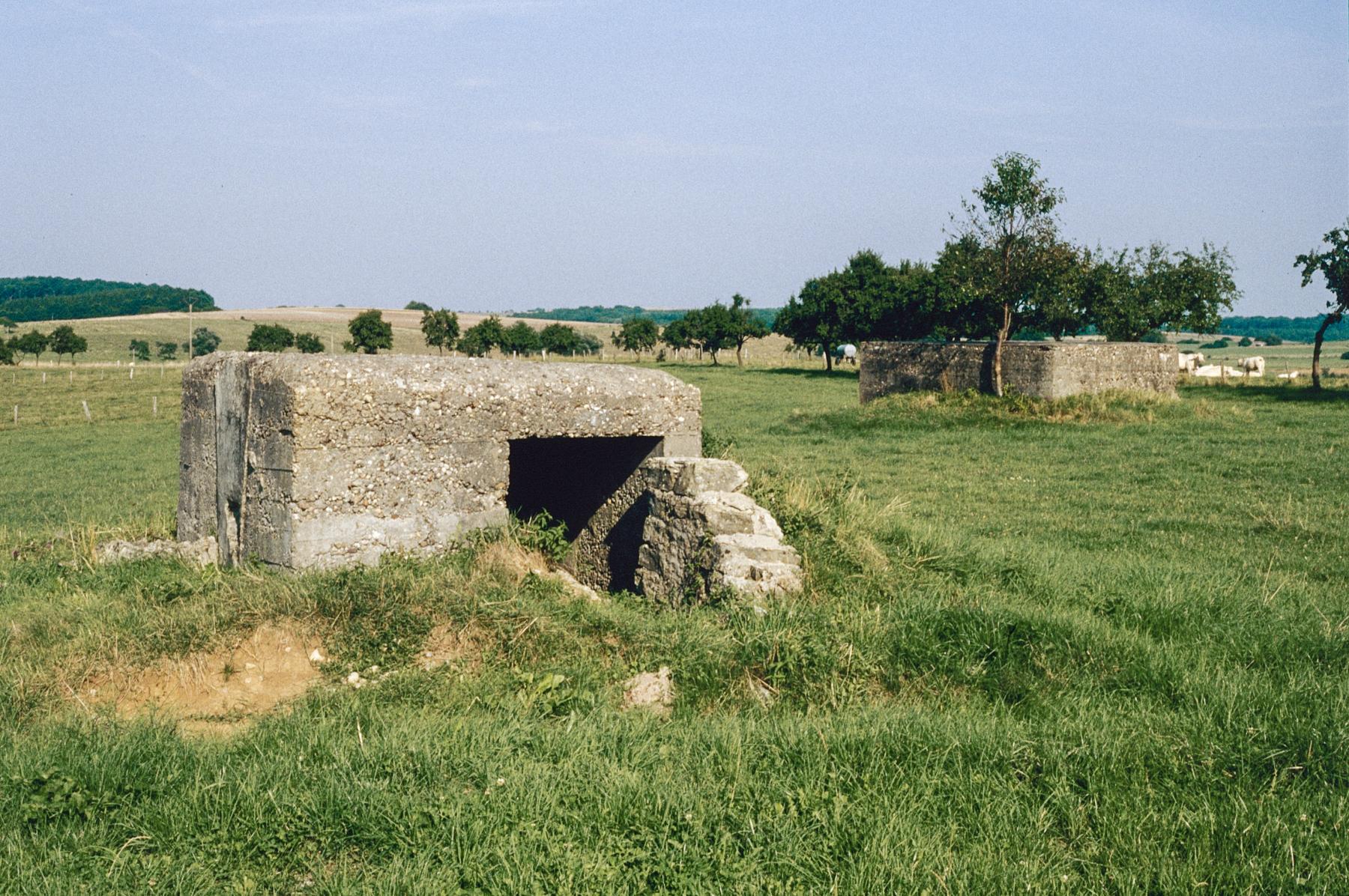 Ligne Maginot - RUISSEAU 6 - (Blockhaus pour arme infanterie) - Les deux blockhaus