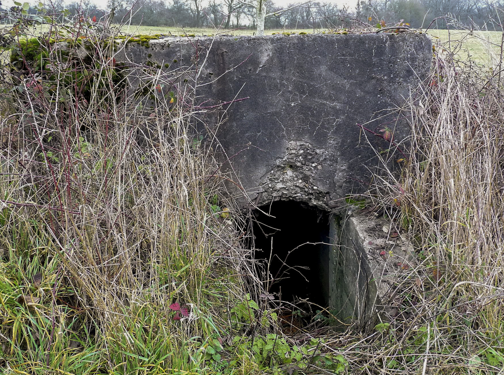 Ligne Maginot - LE 75 2 - (Blockhaus pour arme infanterie) - 