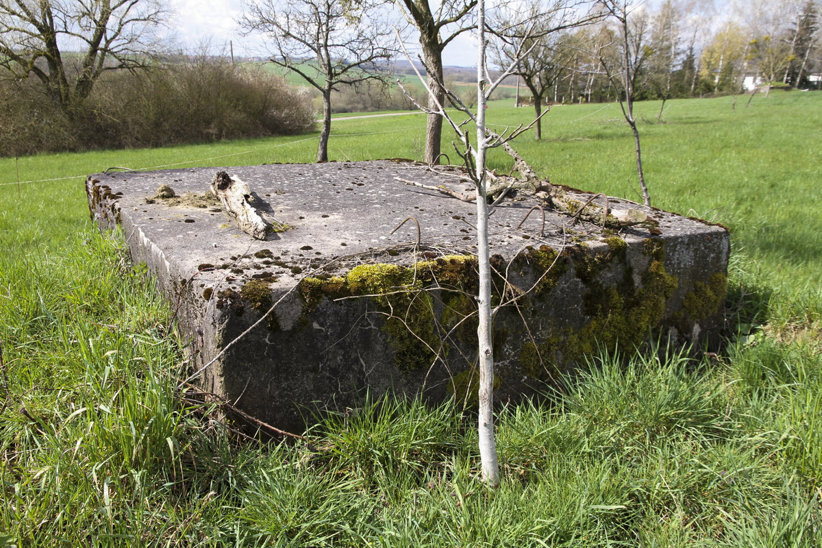 Ligne Maginot - LE 75 2 - (Blockhaus pour arme infanterie) - 