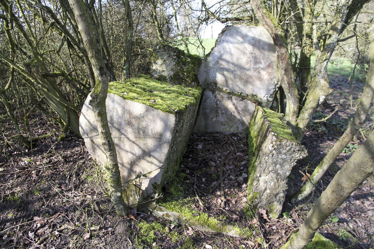 Ligne Maginot - MISTBERG 4 - (Observatoire d'infanterie) - Les restes de l'observatoire.
Bloc vertical à l'origine