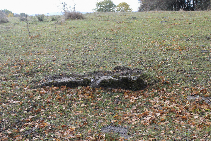 Ligne Maginot - MISTBERG 4 - (Observatoire d'infanterie) - A quelques mètres....les fondations de l'observatoire ? 