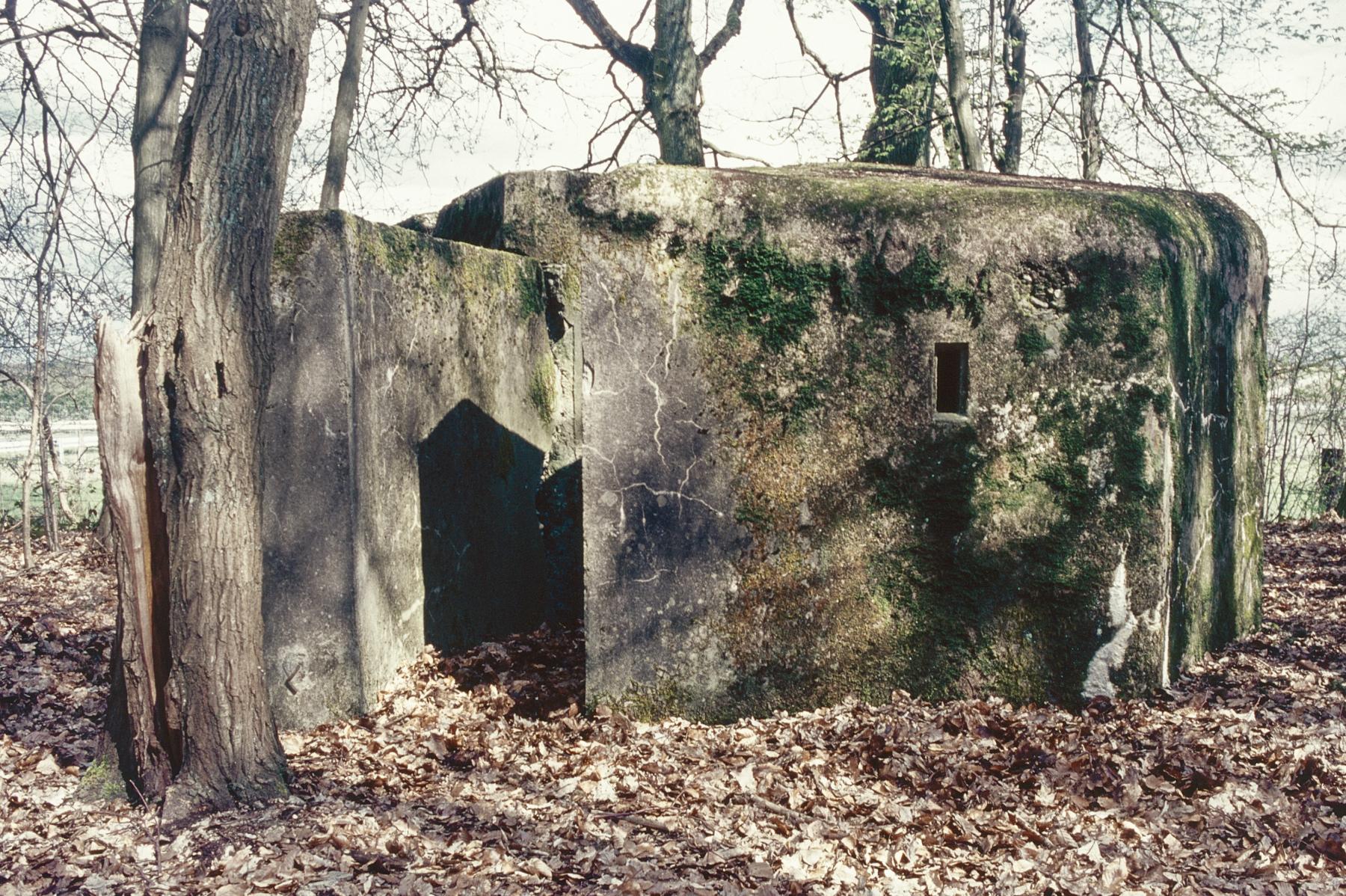 Ligne Maginot - C4B - GRUNDVILLER 2 - (Blockhaus pour arme infanterie) - L'accès au blockhaus