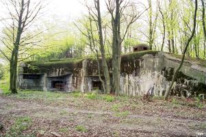 Ligne Maginot - BOIS D'OTTONVILLE - BCA1 - (Casemate d'artillerie) - Vue d'ensemble de la casemate d'artillerie d'Ottonville