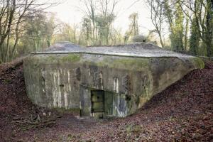 Ligne Maginot - CHENES BRULES - O4 - (Observatoire d'artillerie) - Photo prise lors du nettoyage de la parcelle