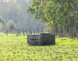 Ligne Maginot - BEF 313B - LES BRUYERES EST - (Observatoire d'artillerie) - 