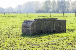 Ligne Maginot - BEF 313B - LES BRUYERES EST - (Observatoire d'artillerie) - 