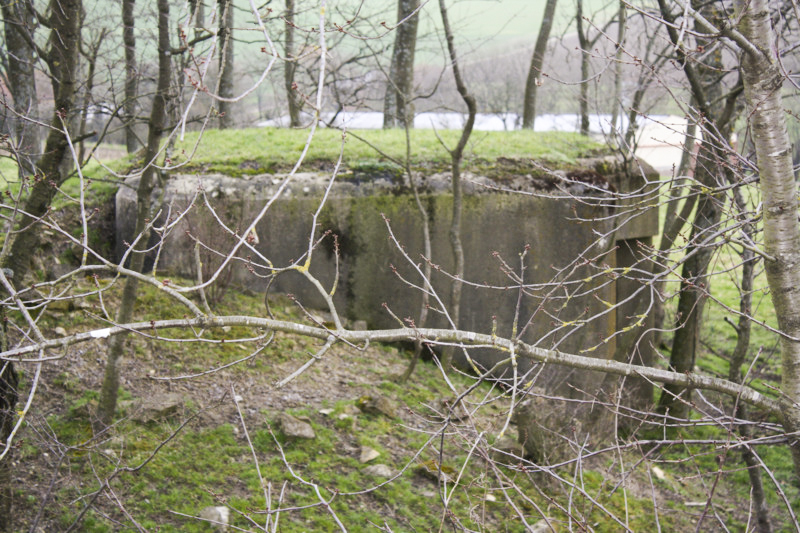 Ligne Maginot - FOULIGNY - (Central téléphonique isolé) - 