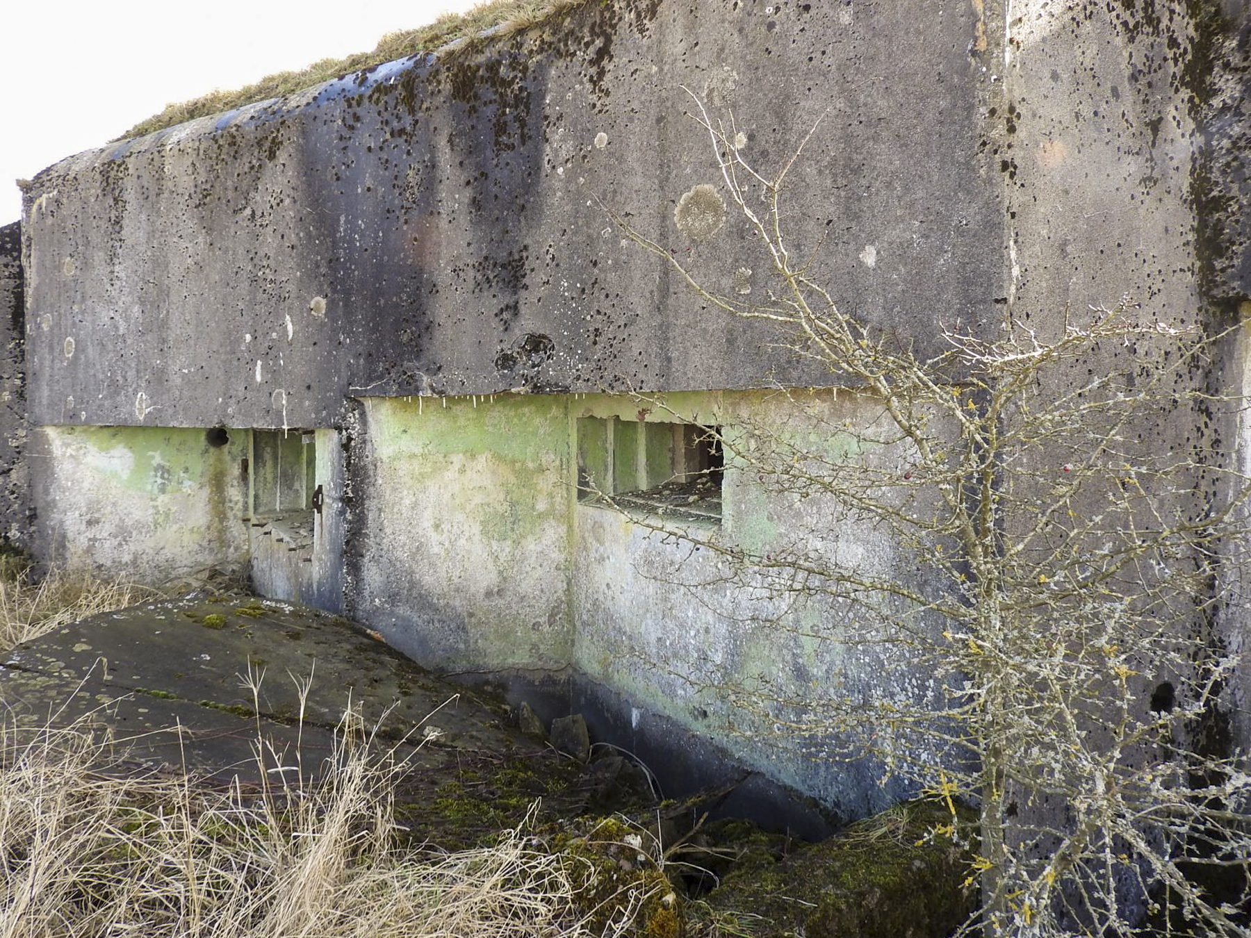 Ligne Maginot - AB35 - (Blockhaus pour canon) - La façade de tir.