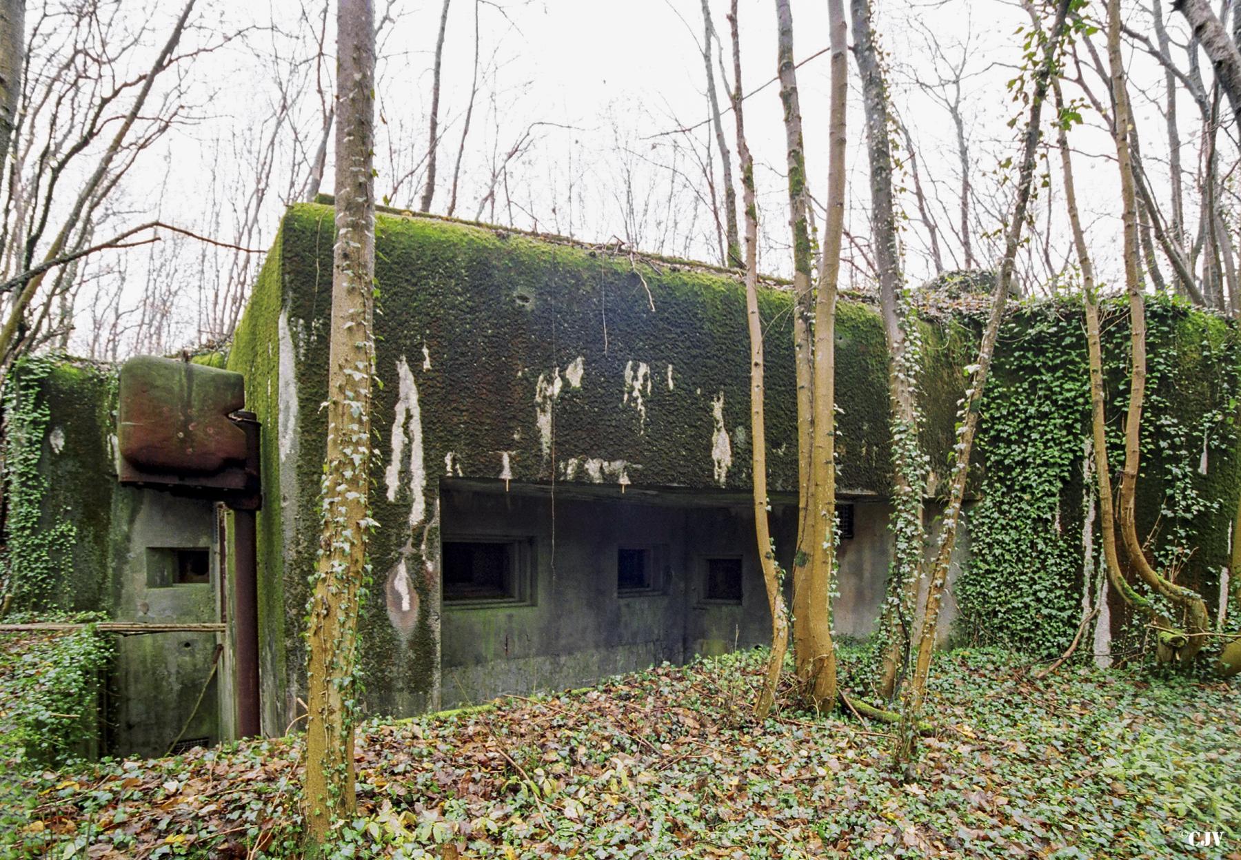 Ligne Maginot - BOIS DE BEUVEILLE - C2 (JACQUELINE) - (Casemate d'infanterie - Simple) - 