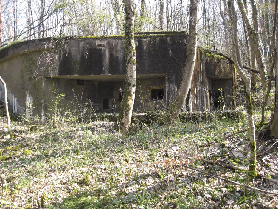 Ligne Maginot - BOIS DE TAPPE OUEST - C5 - (Casemate d'infanterie) - 