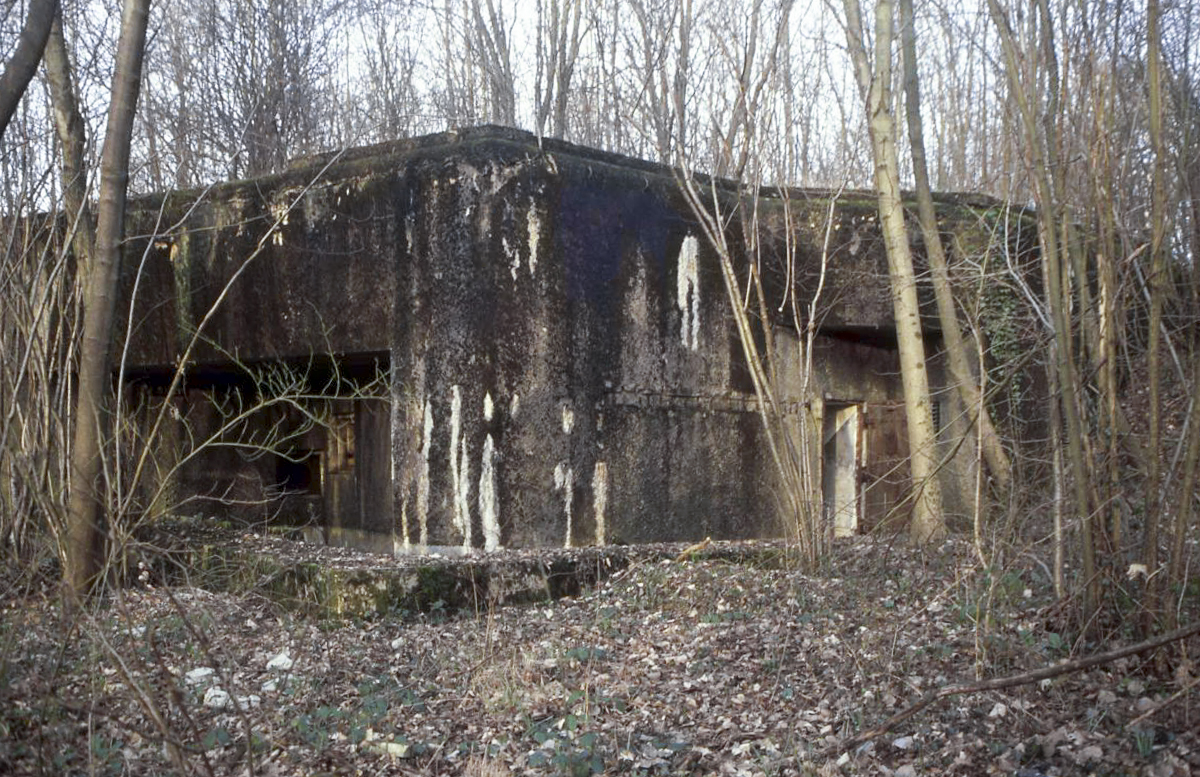 Ligne Maginot - BOIS DE TAPPE OUEST - C5 - (Casemate d'infanterie) - 