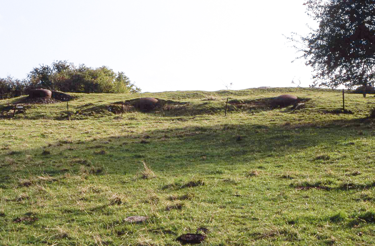 Ligne Maginot - JALAUMONT EST - C10 - (Casemate d'infanterie) - 