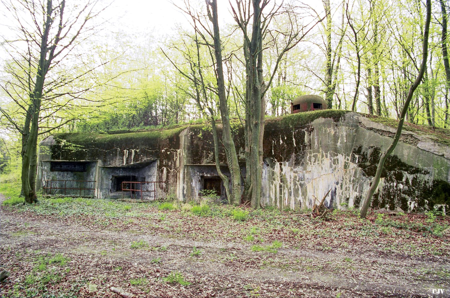 Ligne Maginot - BOIS D'OTTONVILLE - BCA1 - (Casemate d'artillerie) - Vue d'ensemble de la casemate d'artillerie d'Ottonville