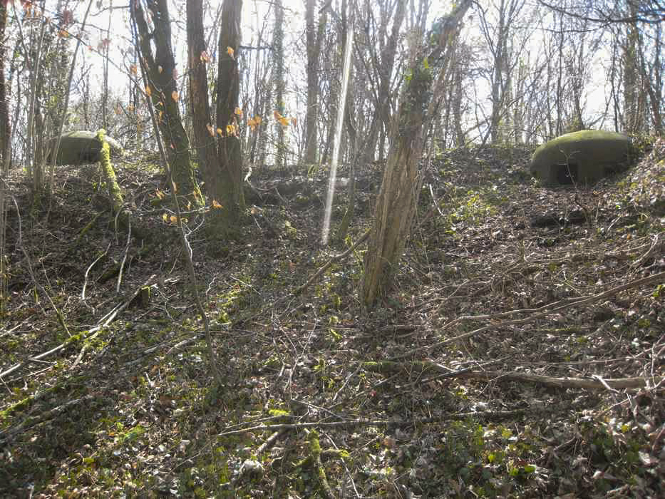 Ligne Maginot - VERBUSCH EST - C19 - (Casemate d'infanterie - Simple) - Vue sur les cloches JM et GFM