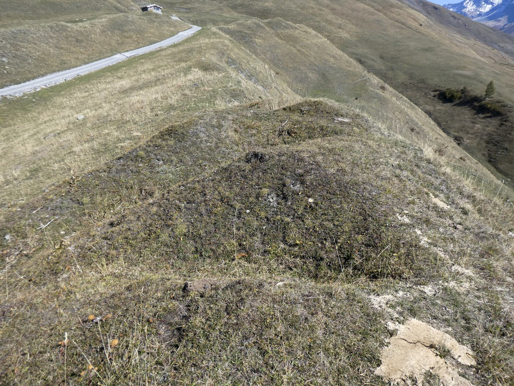 Ligne Maginot - COMBOTTIER - (Position d'artillerie préparée) - Observatoire sur la crête