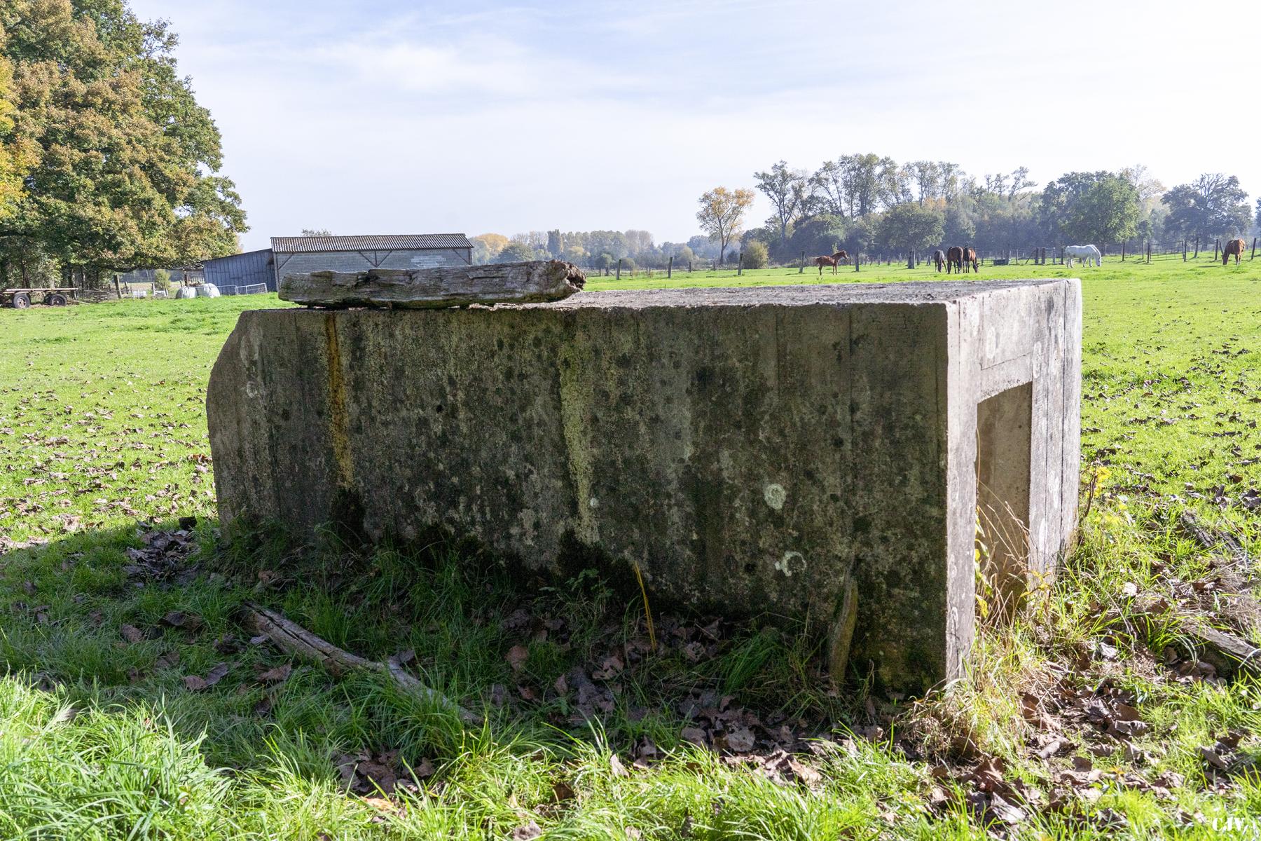 Ligne Maginot - BEF 313B - LES BRUYERES EST - (Observatoire d'artillerie) - 