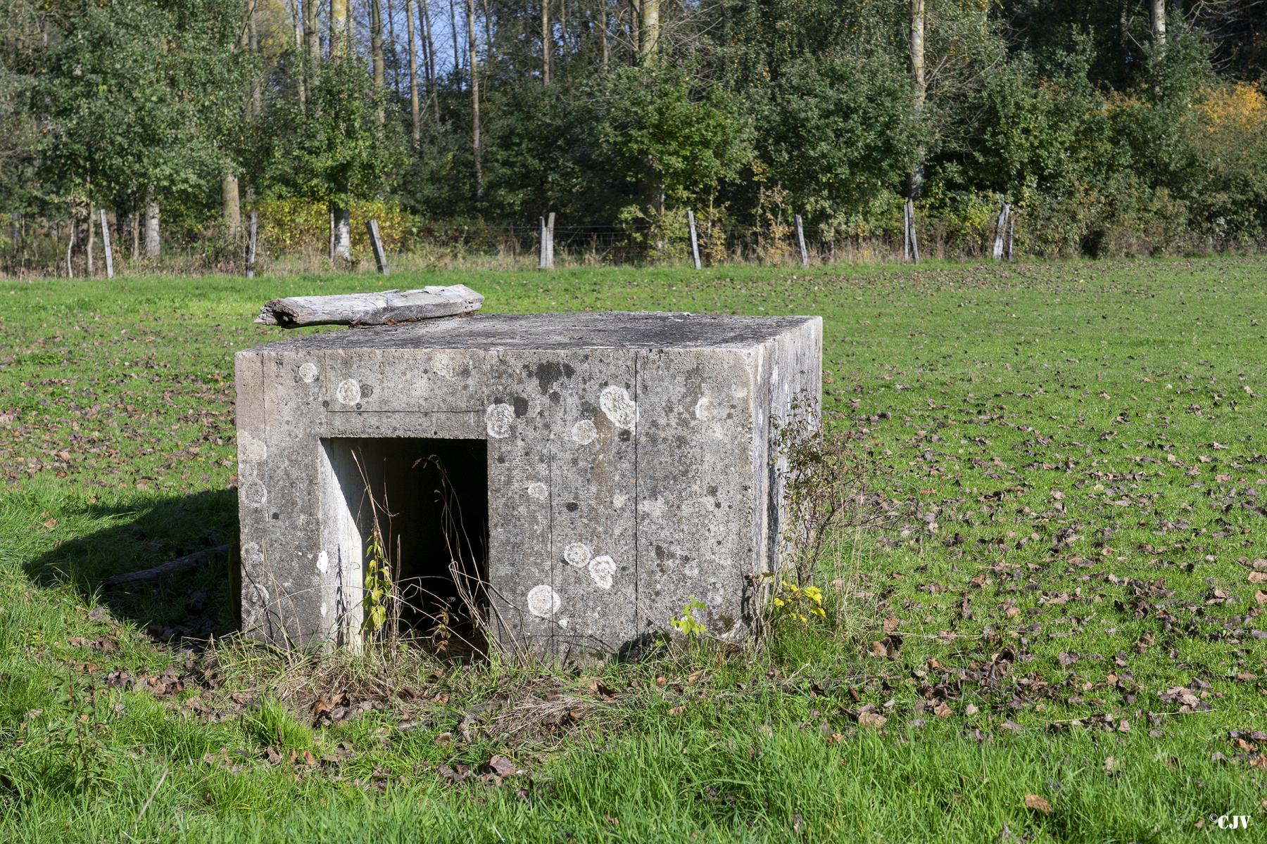 Ligne Maginot - BEF 313B - LES BRUYERES EST - (Observatoire d'artillerie) - 