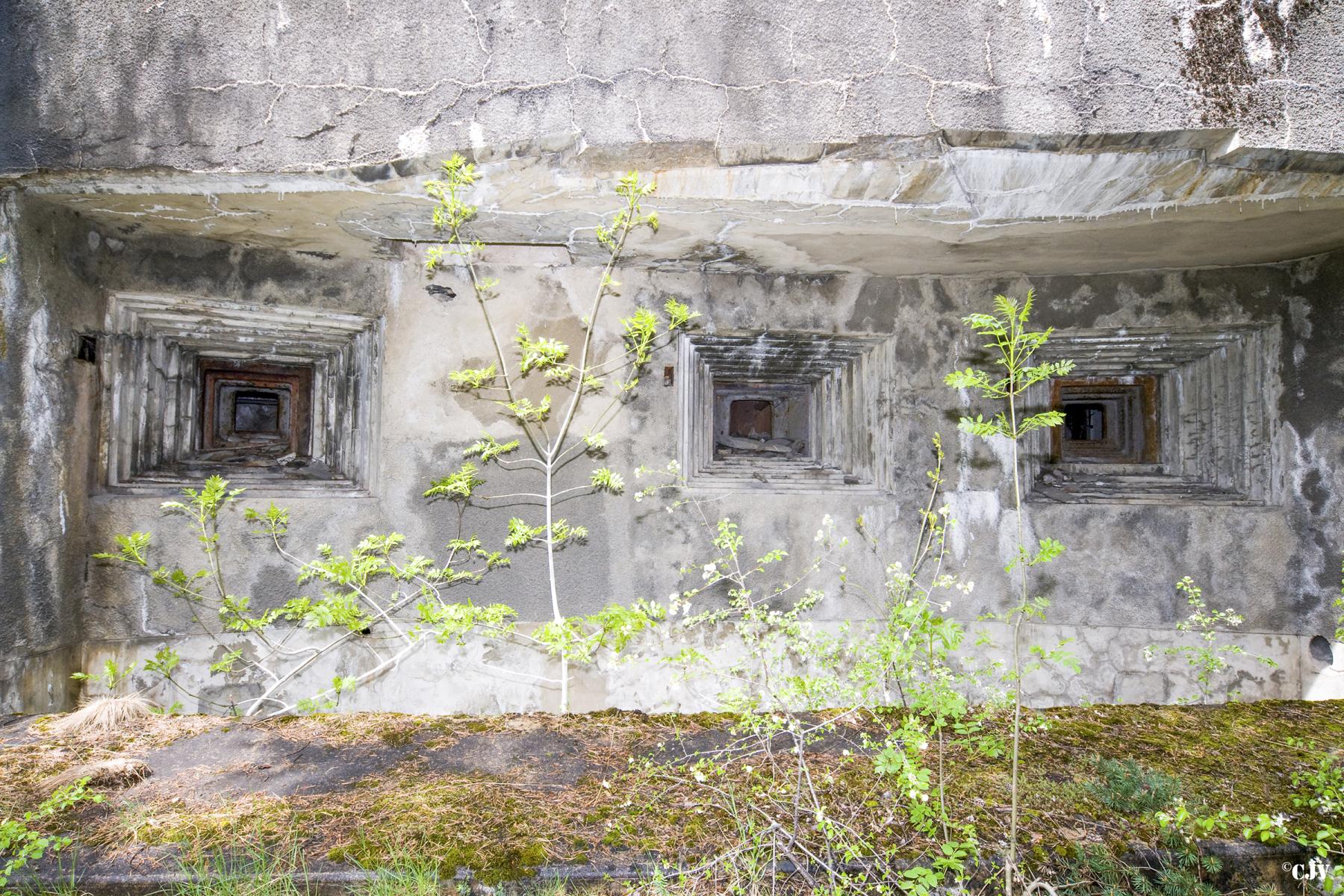 Ligne Maginot - CHATELARD - (Ouvrage d'infanterie) - La façade