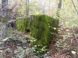 Ligne Maginot - BOIS DES FORTS - (Blockhaus pour arme infanterie) - La végétation devient dense autour.