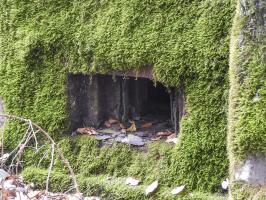 Ligne Maginot - BOIS DES FORTS - (Blockhaus pour arme infanterie) - L'embrasure pour mitrailleuse.