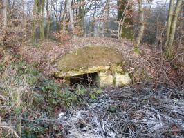 Ligne Maginot - BOUSS   - (Abri) - Abri bien fragile