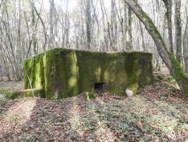 Ligne Maginot - VOR BERG - (Blockhaus pour arme infanterie) - La façade de tir.