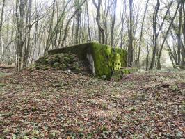 Ligne Maginot - VOR BERG - (Blockhaus pour arme infanterie) - La façade arrière.
Remarquez le camouflage en pierres.