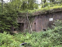 Ligne Maginot - BICHEL NORD - X18 - (Abri) - Etat actuel.
Remblayé par l'armée.