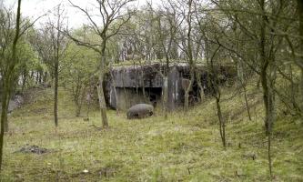 Ligne Maginot - LANGHEP NORD - (Casemate d'infanterie - Simple) -     