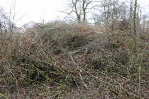 Ligne Maginot - Ab13 (Blockhaus pour canon) - Sous les branches... 
Situation décembre 2017