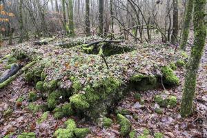 Ligne Maginot - MEDERCHEN NORD 2 - (Blockhaus pour arme infanterie) - 