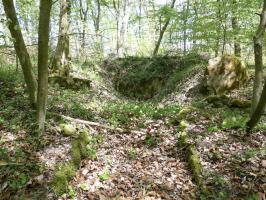 Ligne Maginot - BB21-E - GRESSES WALD - (PC) - Ce qui subsiste de la seconde alvéole