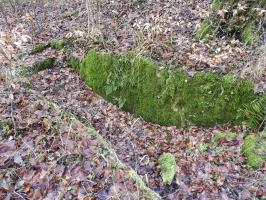 Ligne Maginot - BB21-E - GRESSES WALD - (PC) - La tranchée d'accès.
On distingue la présence d'un escalier à gauche.