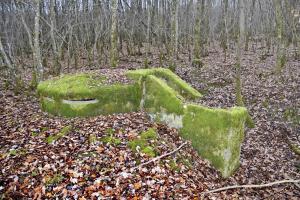 Ligne Maginot - CB434A - BOIS DE CATTENOM 08 - (Observatoire d'infanterie) - Observatoire construit à partir d'un 'escargot' allemand d'avant la première guerre mondiale