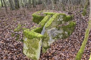 Ligne Maginot - CB434A - BOIS DE CATTENOM 08 - (Observatoire d'infanterie) - Observatoire construit à partir d'un 'escargot' allemand d'avant la première guerre mondiale