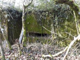 Ligne Maginot - AB32-D - LANDERT SUD - (Blockhaus pour canon) - La façade de tir.